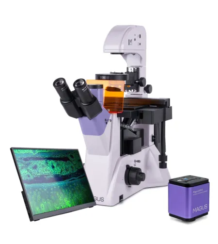 Fluorestsentsi pööratud digitaalne mikroskoop MAGUS Lum VD500 LCD