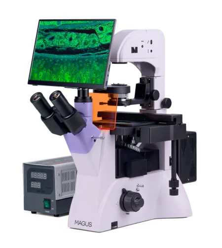 Fluorestsentsi pööratud digitaalne mikroskoop MAGUS Lum VD500 LCD