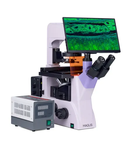 Fluorestsentsi pööratud digitaalne mikroskoop MAGUS Lum VD500 LCD