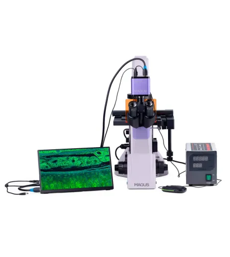 Fluorestsentsi pööratud digitaalne mikroskoop MAGUS Lum VD500 LCD