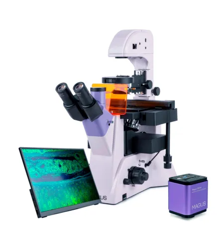 MAGUS Lum VD500L LCD Fluorescence Inverted Digital Microscope