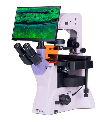 MAGUS Lum VD500L LCD Fluorescence Inverted Digital Microscope