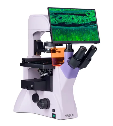 MAGUS Lum VD500L LCD Fluorescence Inverted Digital Microscope