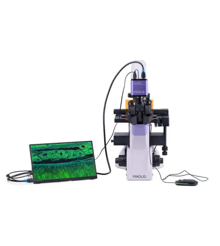 MAGUS Lum VD500L LCD Fluorescence Inverted Digital Microscope