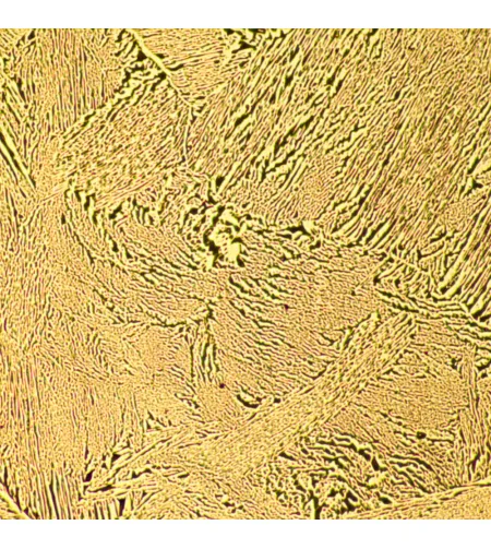 MAGUS Metal D600 Metallurgical Digital Microscope