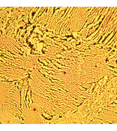 MAGUS Metal D600 Metallurgical Digital Microscope