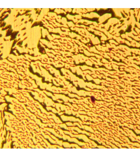 MAGUS Metal D600 Metallurgical Digital Microscope