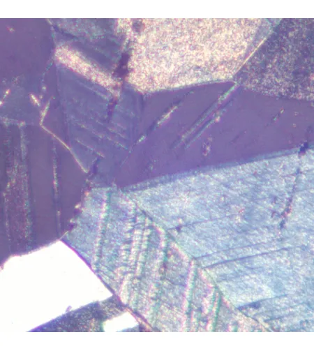 MAGUS Metal D600 BD Metallurgical Digital Microscope