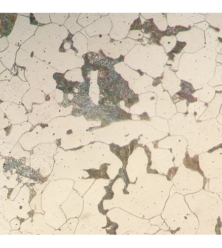 MAGUS Metal D630 LCD Metallurgical Digital Microscope