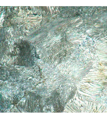 MAGUS Metal D630 BD Metallurgical Digital Microscope