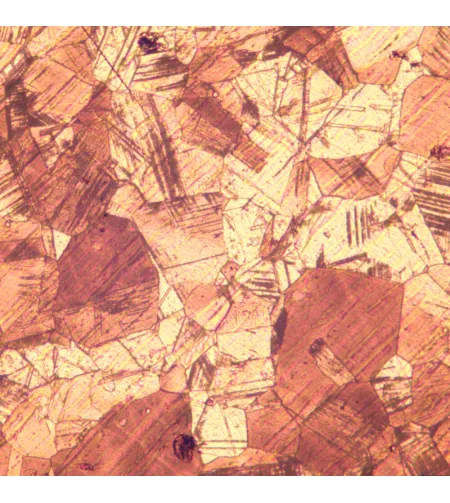 MAGUS Metal D650 Metallurgical Digital Microscope