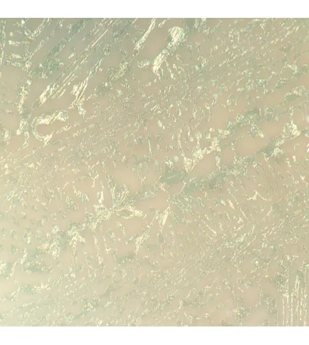 MAGUS Metal D650 BD Metallurgical Digital Microscope