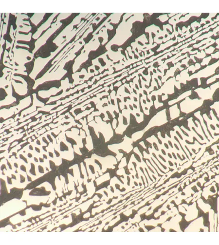 MAGUS Metal D650 BD LCD Metallurgical Digital Microscope