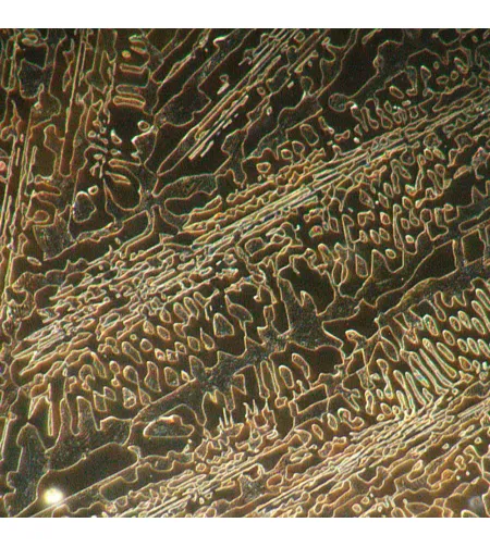 MAGUS Metal D650 BD LCD Metallurgical Digital Microscope