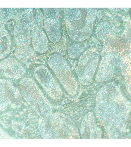 MAGUS Metal VD700 Metallurgical Inverted Digital Microscope