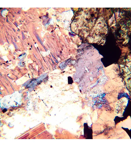 MAGUS Pol D800 Polarizing Digital Microscope