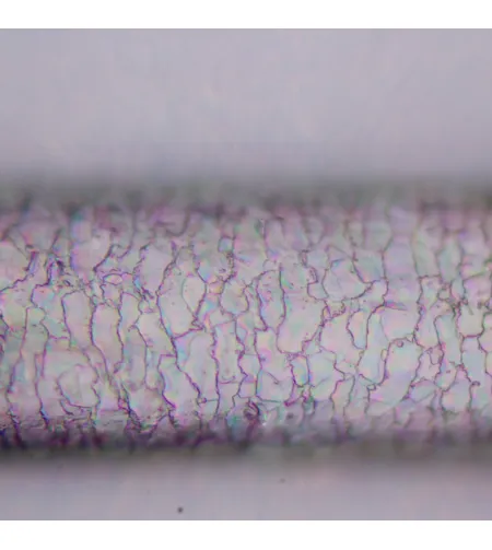 MAGUS Pol D800 Polarizing Digital Microscope