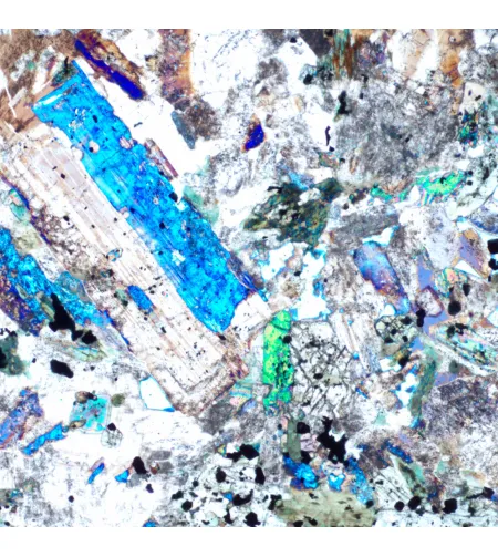 MAGUS Pol D850 Polarizing Digital Microscope