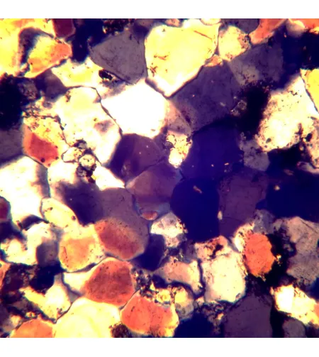 MAGUS Pol D850 Polarizing Digital Microscope