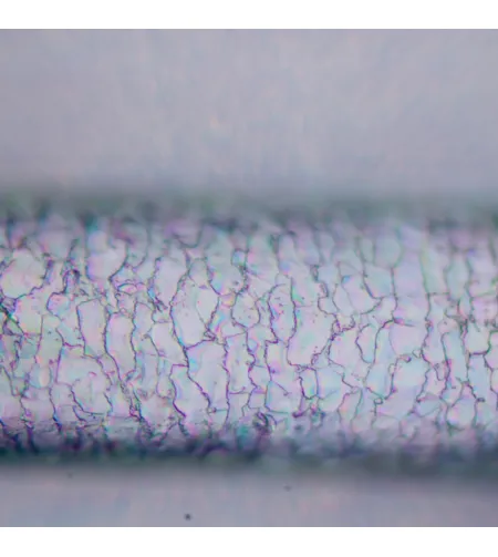 MAGUS Pol D850 LCD Polarizing Digital Microscope