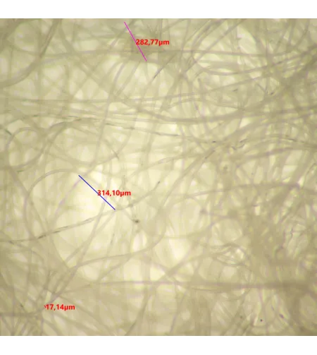 Цифровой стереомикроскоп MAGUS Stereo D9T