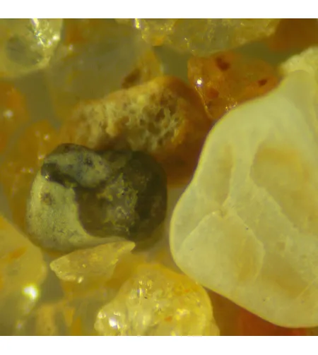 Цифровой стереомикроскоп MAGUS Stereo D9T