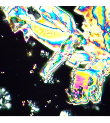 MAGUS Pol 890 Polarizing Microscope