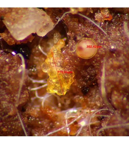 Стереомикроскоп MAGUS Stereo A10