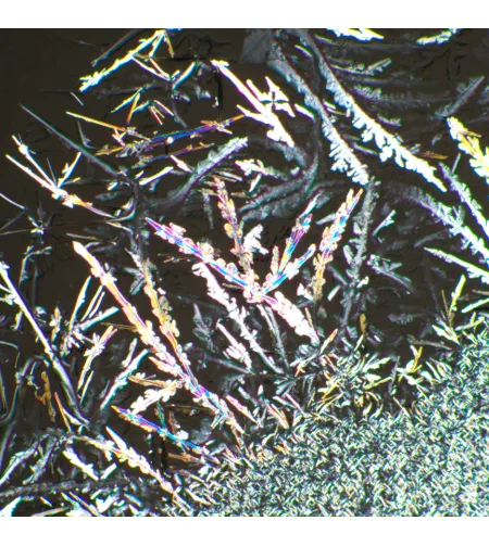 MAGUS SPD3 polariseerija/analüsaatori komplekt