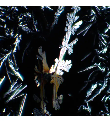 MAGUS SPD2 polariseerija/analüsaatori komplekt