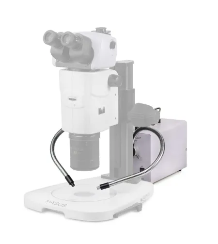 MAGUS CLI18T külmvalgus kahekordse valgusjuhiga