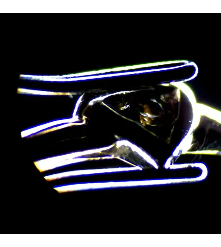 MAGUS Stereo D7T LCD BASE digitaalne stereomikroskoop