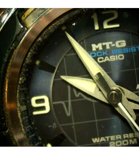 MAGUS Stereo D8T LCD PLUS  Digitaalne stereomikroskoop