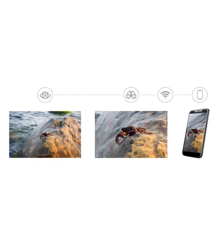 Levenhuk Kelvin Snap ED 8x42 Digital Photomonocular