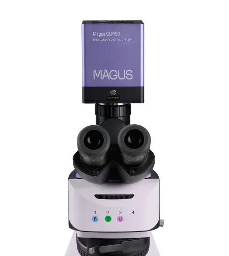 MAGUS Lum D460L fluorestsents-digitaalne mikroskoop