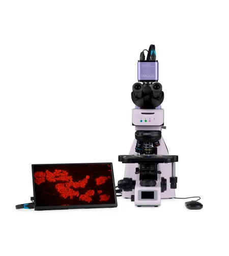 MAGUS Lum D460L LCD fluorestsents-digitaalne mikroskoop