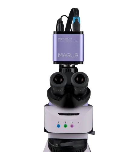 MAGUS Lum D460L LCD fluorestsents-digitaalne mikroskoop