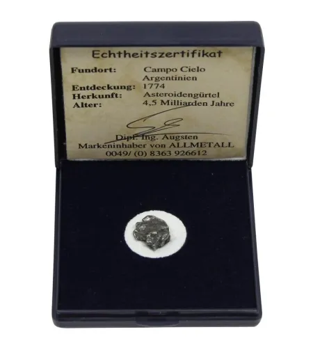 Campo del Cielo raudmeteoriit kingikotti