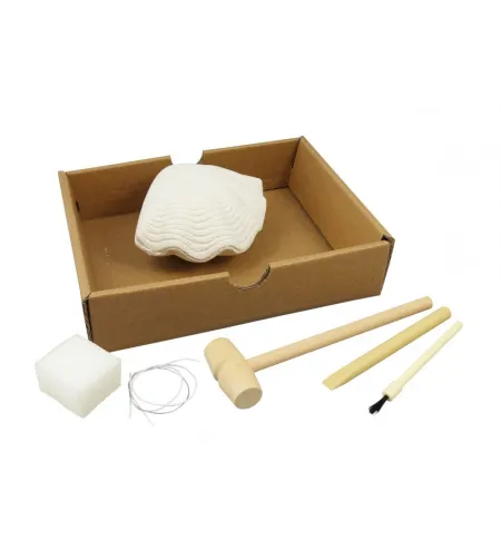 Uurimiskomplekt - käevõru, Buki Dig Kit Shells