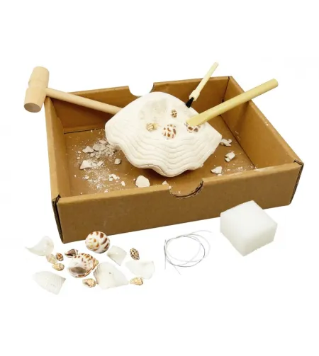 Uurimiskomplekt - käevõru, Buki Dig Kit Shells