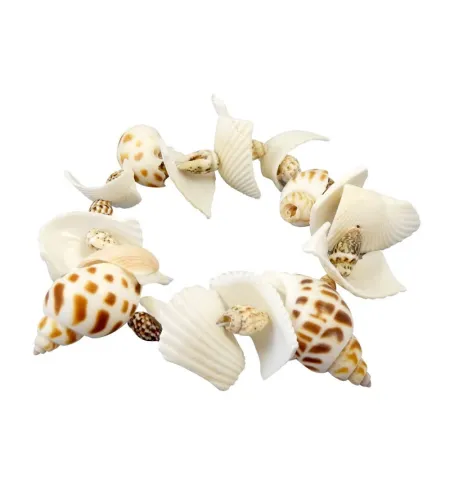 Uurimiskomplekt - käevõru, Buki Dig Kit Shells