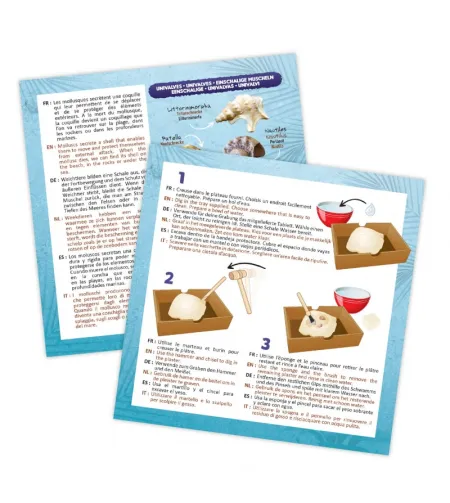 Uurimiskomplekt - käevõru, Buki Dig Kit Shells