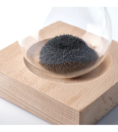 AstroMedia Magnetiline munataimer