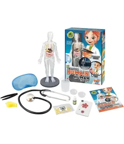 Experiment kit, Buki, Human Body