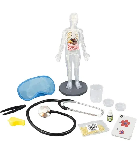 Experiment kit, Buki, Human Body