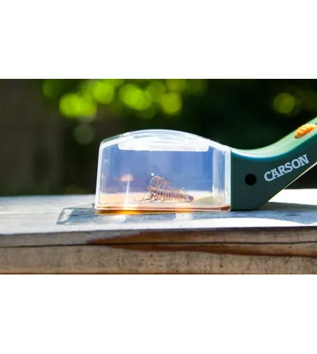 Carson Bugview – sisseehitatud suurendusklaasiga putukapüüdja