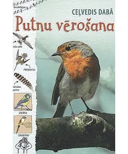 Loodusjuht: Linnuvaatlus