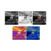 Termokaamera GUIDE DELPHINUS TD420 25MM 400X300 IR 2,8X - 11,2X 50HZ WI-FI