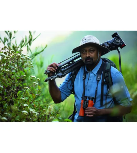 Бинокль Swarovski NL PURE 10X32 ЗЕЛЕНО-ЧЕРНЫЙ