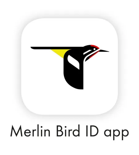 Swarovski Monocular dG 8X25 Wi-Fib